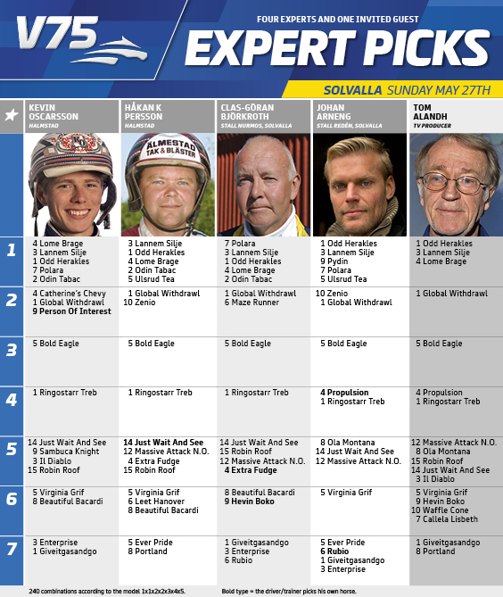 V75 Expert Picks Solvalla 27th