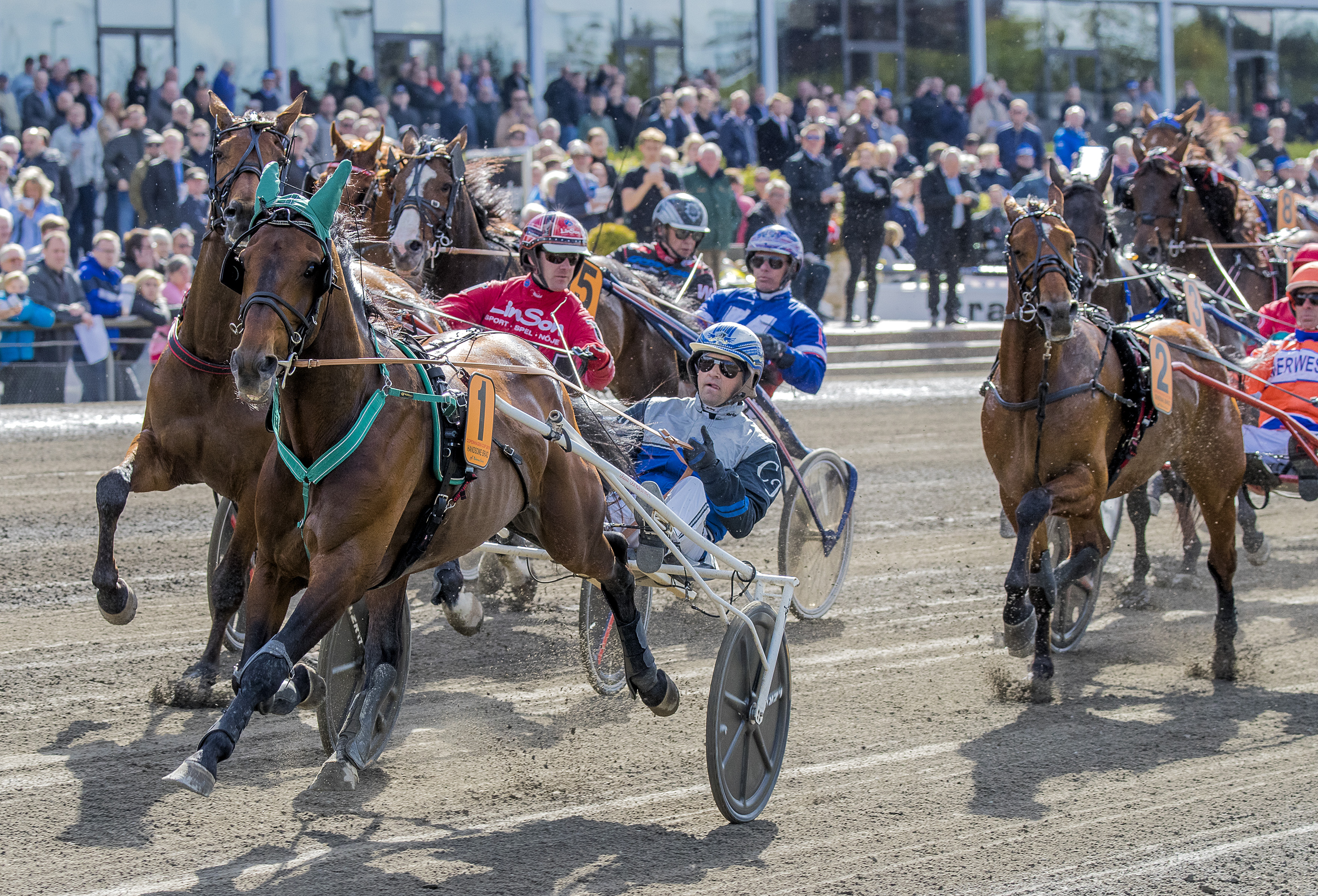 V75 Skipped Elitloppet king on Saturday?